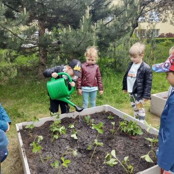 🍓🥕 Przedszkolaki zakładają owocowo-warzywne ogródki! 🌱🌿