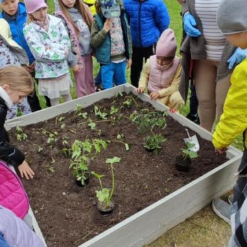 🍓🥕 Przedszkolaki zakładają owocowo-warzywne ogródki!
