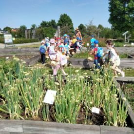  Ogród Botaniczny