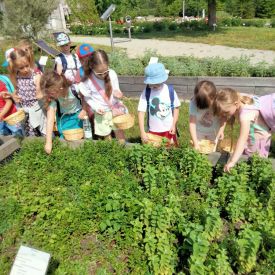  Ogród Botaniczny