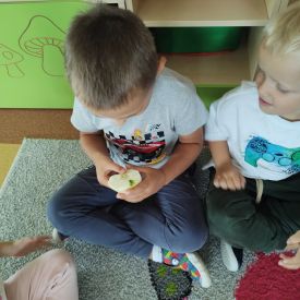 DZIEŃ JABŁKA