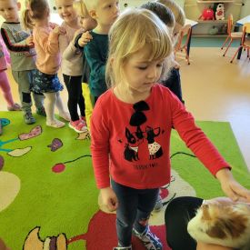 Świnka morska odwiedza nasze przedszkole.