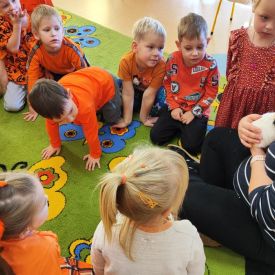 Świnka morska odwiedza nasze przedszkole.