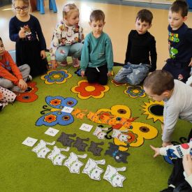 Światowy Dzień Kota