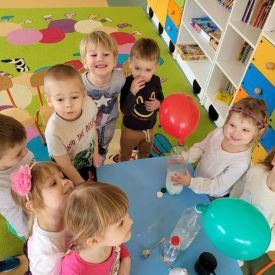 Dziecięce eksperymenty- Stokrotki