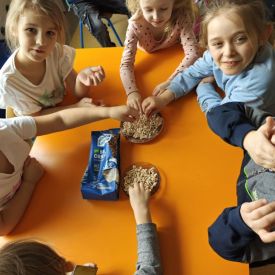 „Skąd się biorą produkty ekologiczne?” to ogólnopolski program edukacyjny dla przedszkoli, opracowany we współpracy z Ministerstwem Rolnictwa i Rozwoju Wsi. 11 marca 2025 r. w grupach "Bratki"„Tulipany”, "Niezapominajki " i "Różyczki" odbyły się zajęcia realizowane w ramach tego programu. Okres przedszkolny to kluczowy etap w kształtowaniu postaw, które mają wpływ na zdrowie zarówno teraz, jak i w przyszłości. Dlatego tak ważne jest, aby już od najmłodszych lat edukować dzieci w zakresie prawidłowego odżywi