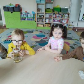 Ogródek u Fiołków