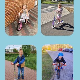 ZDROWO I SPORTOWO- Niezapominajki