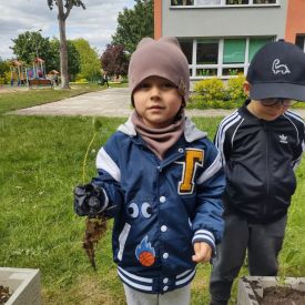  🍓🥕 Przedszkolaki zakładają owocowo-warzywne ogródki! 🌿