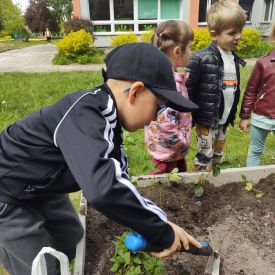  🍓🥕 Przedszkolaki zakładają owocowo-warzywne ogródki! 🌿