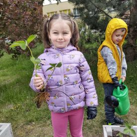  🍓🥕 Przedszkolaki zakładają owocowo-warzywne ogródki! 🌱🌿