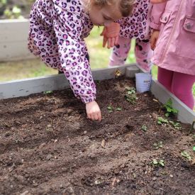  🍓🥕 Przedszkolaki zakładają owocowo-warzywne ogródki! 🌿