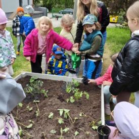  🍓🥕 Przedszkolaki zakładają owocowo-warzywne ogródki! 🌱🌿
