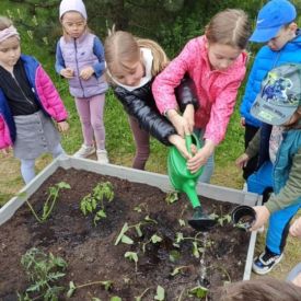  🍓🥕 Przedszkolaki zakładają owocowo-warzywne ogródki! 🌱🌿