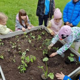  🍓🥕 Przedszkolaki zakładają owocowo-warzywne ogródki! 🌱🌿