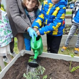  🍓🥕 Przedszkolaki zakładają owocowo-warzywne ogródki! 🌱🌿