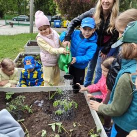  🍓🥕 Przedszkolaki zakładają owocowo-warzywne ogródki! 🌱🌿