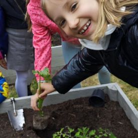  🍓🥕 Przedszkolaki zakładają owocowo-warzywne ogródki! 🌿
