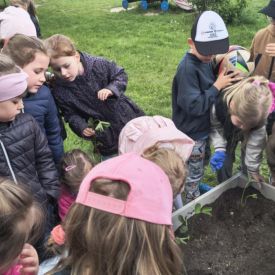  🍓🥕 Przedszkolaki zakładają owocowo-warzywne ogródki! 🌿