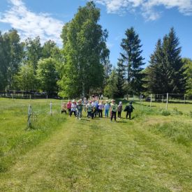Sprintem do maratonu" w Przedszkolu Samorządowym nr 35! 🏃‍♂️🏃‍♀️
