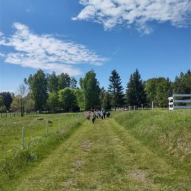 Sprintem do maratonu" w Przedszkolu Samorządowym nr 35! 🏃‍♂️🏃‍♀️