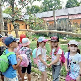 Wycieczka do Mini Zoo "Leśne Zacisze" w Lisowie-Tulipany