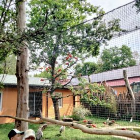 Wycieczka do Mini Zoo "Leśne Zacisze" w Lisowie-Tulipany
