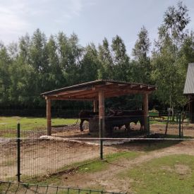 Wycieczka do Mini Zoo "Leśne Zacisze" w Lisowie-Tulipany