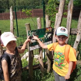 Wycieczka do Mini Zoo "Leśne Zacisze" w Lisowie-Tulipany