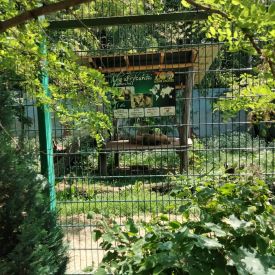 Wycieczka do Mini Zoo "Leśne Zacisze" w Lisowie-Tulipany