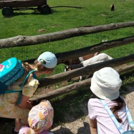 Wycieczka do Mini Zoo "Leśne Zacisze" w Lisowie-Tulipany