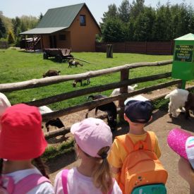 Wycieczka do Mini Zoo "Leśne Zacisze" w Lisowie-Tulipany