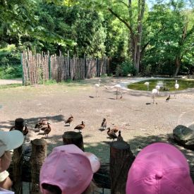 Wycieczka do Mini Zoo "Leśne Zacisze" w Lisowie-Tulipany