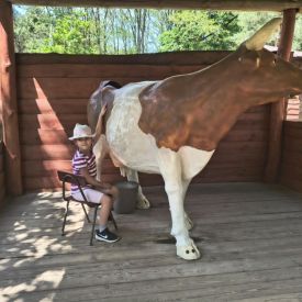 Wycieczka do Mini Zoo "Leśne Zacisze" w Lisowie-Tulipany
