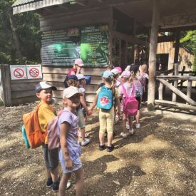 Wycieczka do Mini Zoo "Leśne Zacisze" w Lisowie-Tulipany