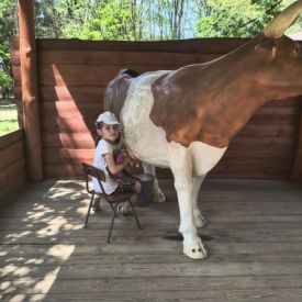 Wycieczka do Mini Zoo "Leśne Zacisze" w Lisowie-Tulipany