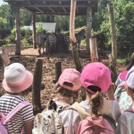 Wycieczka do Mini Zoo "Leśne Zacisze" w Lisowie-Tulipany