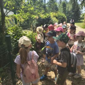 Wycieczka do Mini Zoo "Leśne Zacisze" w Lisowie-Tulipany