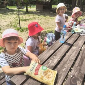 Wycieczka do Mini Zoo "Leśne Zacisze" w Lisowie-Tulipany
