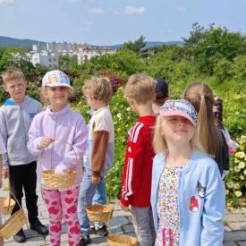 Wycieczka do Ogrodu Botanicznego