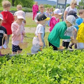 Wycieczka do Ogrodu Botanicznego