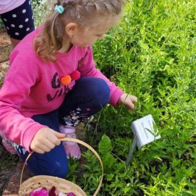 Wycieczka do Ogrodu Botanicznego