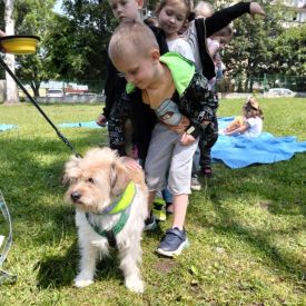 Dogoterapia Różyczek
