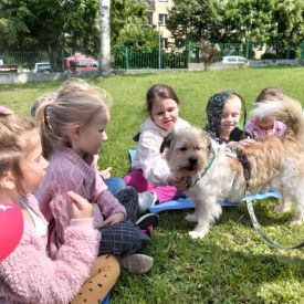 Dogoterapia Różyczek