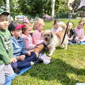 Dogoterapia Różyczek