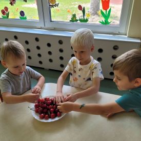 Kolory lata w Stokrotkach