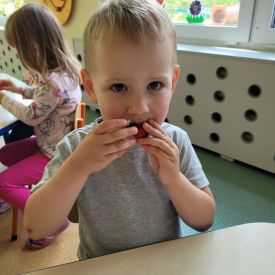 Kolory lata w Stokrotkach