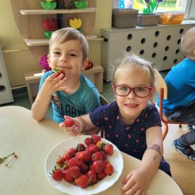 Kolory lata w Stokrotkach