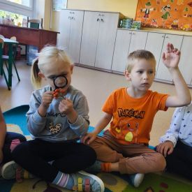 Wrzesień u Tulipanów