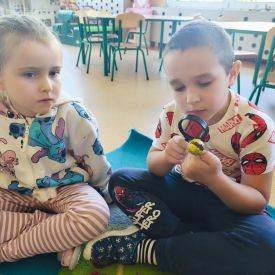 Wrzesień u Tulipanów